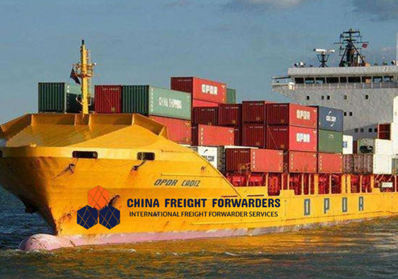 Choisir les transitaires FCL pour tous les types de fret Temps de transit 11-30 jours de navigation