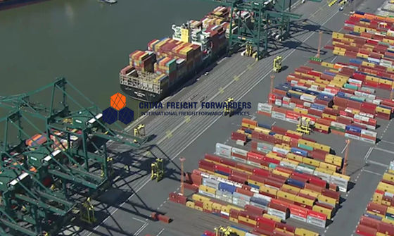 Transporteur maritime de Shenzhen avec assurance et suivi optionnels
