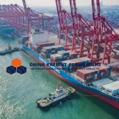 Logistique Expéditeur international de fret maritime de la Chine à l'Australie DDU/DDP