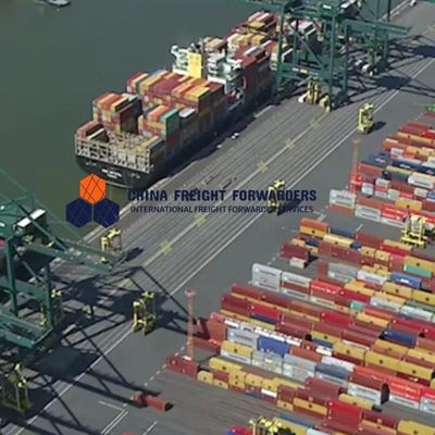 Entreposage personnalisé Expéditeur maritime Expédition internationale Chine Amérique du Sud