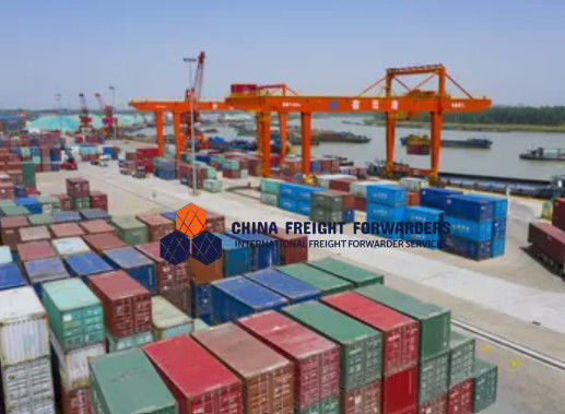 Transporteur maritime pour les conditions EXW et toutes les tailles de fret