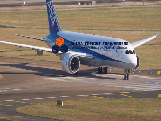 Expéditeur de fret aérien plus rapide Expédition personnalisée de porte à porte En provenance de Chine FIATA