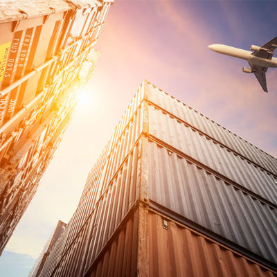 Dédouanement Oui Transporteur vers l'Australie Délai de négociation FOB EXW DDP DDU